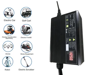 Customizable Ac to Dc 180V-264V to 12V 17V Max Oucput Battery Charger 15A 30A Discharger for Cars