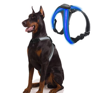 Lampu <span class=keywords><strong>LED</strong></span> berkedip untuk anjing, lampu <span class=keywords><strong>LED</strong></span> modis Sporty keamanan malam nilon bersinar untuk anjing - Product Image 2