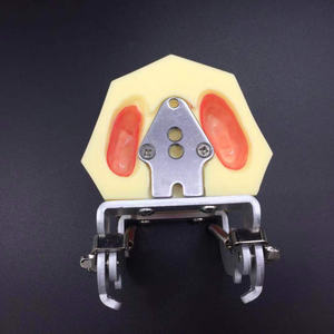 학생들이 연습 모델을 심는 치과 훈련 연습 시뮬레이션 모델 - Product Image 6