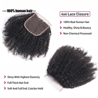 Prêt à Expédier Cheveux Humains Brésiliens Vietnamiens Afro Crépu Bouclé 1B en Faisceaux avec Closure Bruts Non Transformés Extensions 4B 4C Style Bande Adhésive