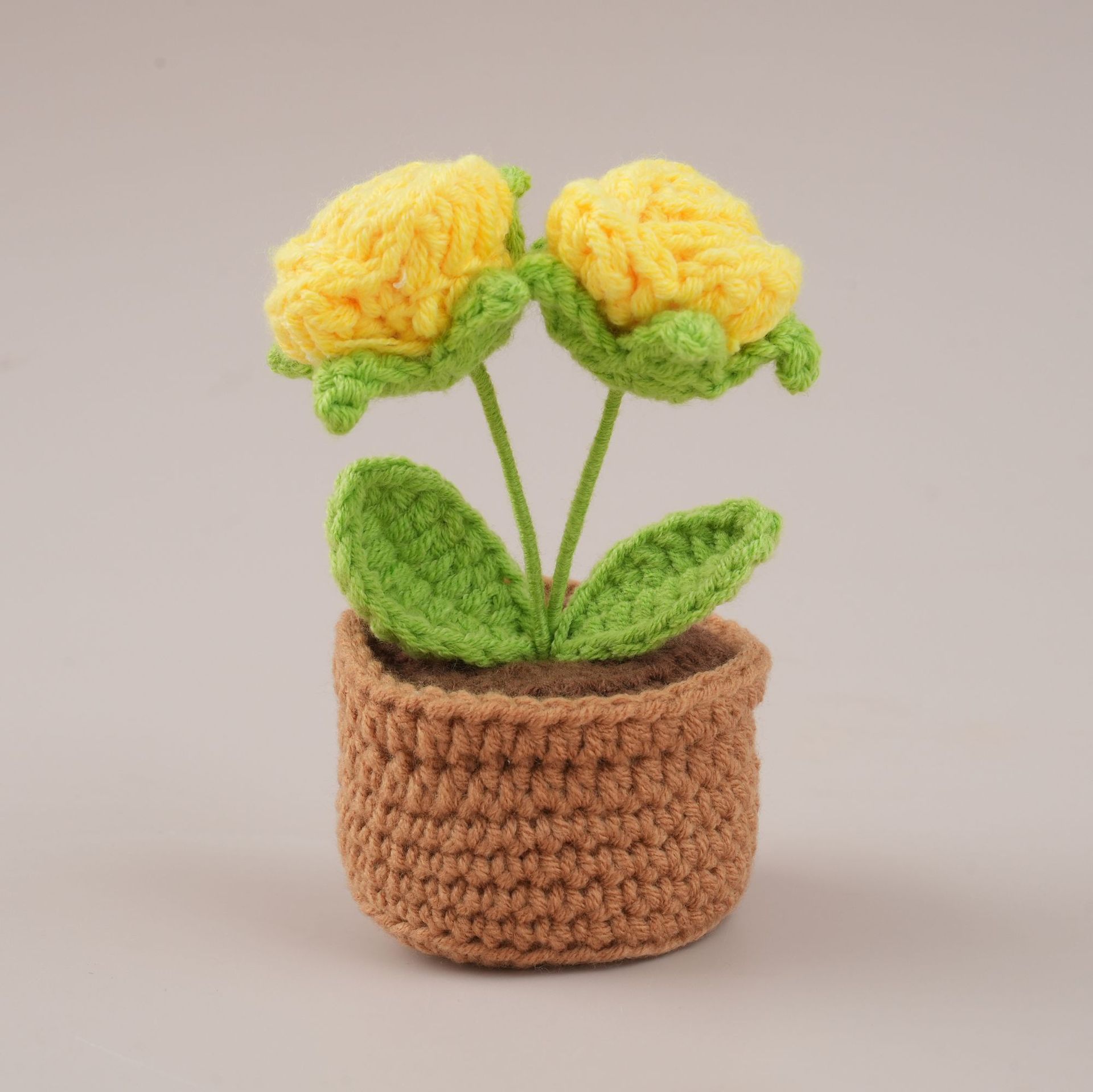 Yellow double-headed rose potted plant
