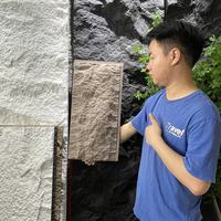 Umweltfreundliche Massivoberfläche Kunststein-Wandpaneel 600x1200mm Dekorativer Steinblock für Innenverkleidung