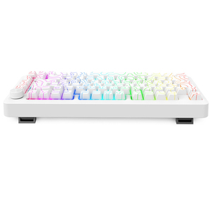 81-key Rgb Mechanical Gaming Keyboard 3-mode Hot-swap Gasket with Topographic Pattern Side-printed Keycaps 2.4ghz <b>Wireless</b> Usb-c - Product Image 6