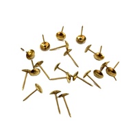 Clous décoratifs ronds en fer doré avec tête à capuchon et tige lisse pour meubles, canapés, matériaux de construction, emballés en carton