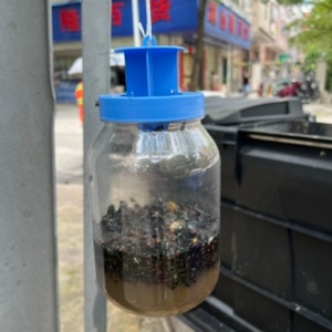 Trampa para Moscas de Exterior al por Mayor, Atrapa Moscas en Botella, Jaula Atrapa Insectos para Jardín, Césped, Patio, Huerto y Uso en Campamentos - Product Image 4