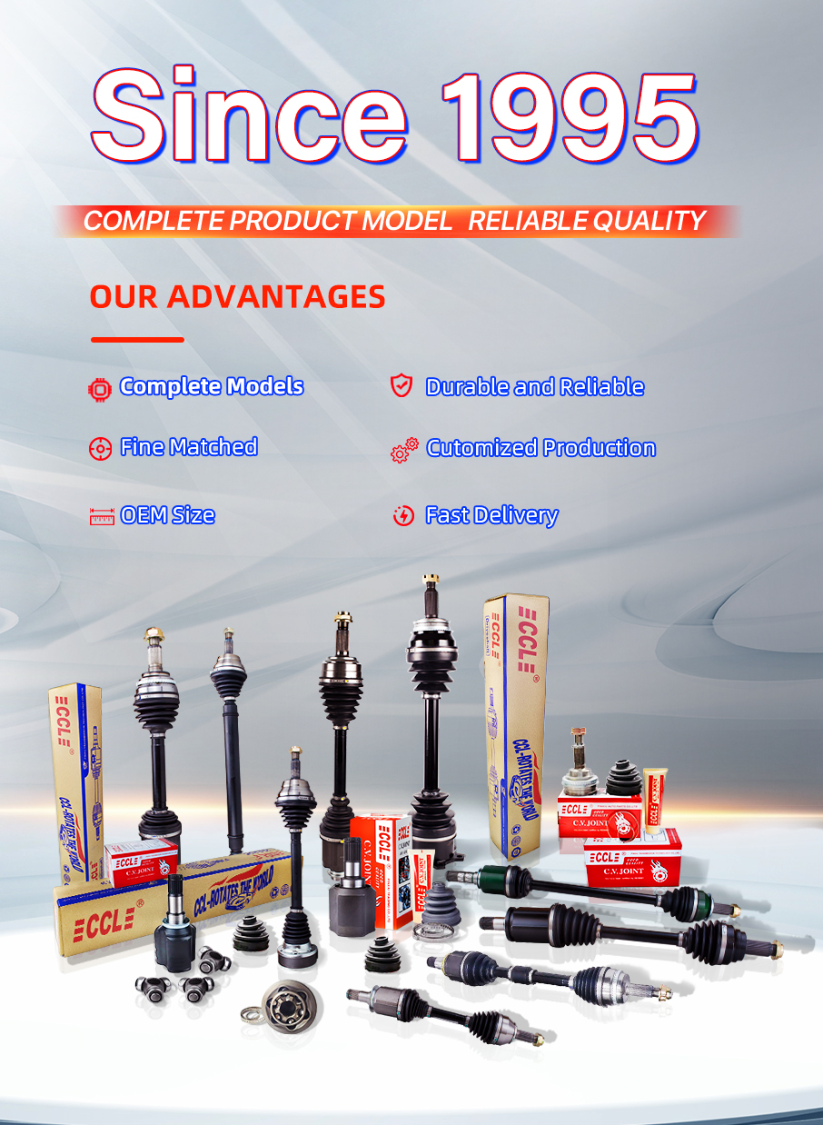 CCL High Quality Automotive Suspension Parts Front and Rear