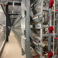 Nigéria H-Type Système de cage de batterie à couche d'abreuvement automatique Nouvelle condition pour 10000 poules et cailles reproductrices