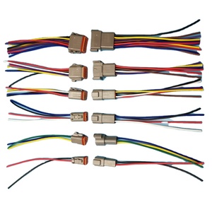 कस्टम ऑटो वायर हार्नेस 100/120/150/200/300/350/400 मिमी 2*0.5 mmm² 2*0.5 mm² 2*0.5 2*1.5 mm² 2*2.5 mm² कार तार दोहन - Product Image 3