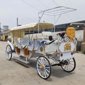 2025 Carrosse Électrique Royal de Luxe à 4 Roues, Alimenté par Batterie, pour Mariages et Visites Touristiques, Transport Spécial à Vendre - Product Image 5