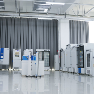 बायोबैस सी एन विश्लेषणात्मक संतुलन अस्पताल के लिए श्रृंखला प्रयोगशाला विश्लेषणात्मक संतुलन - Product Image 6