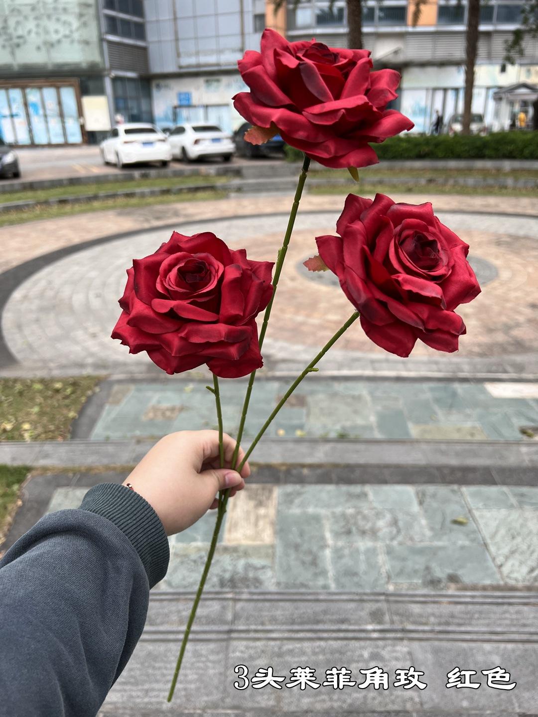 3 corne de gaucher rose rouge