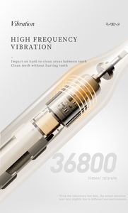 Draagbare Oplaadbare Ultrasone Borstel Met Reiskoffer Diep Schoon Moderne Sonische Elektrische Tandenborstelset - Product Image 5