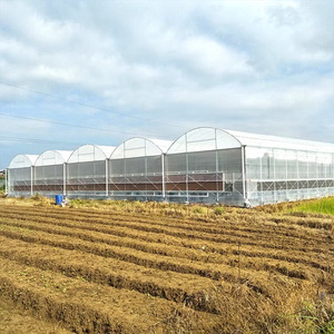 Invernadero Agrícola Inteligente de Gran Tamaño con Ventilación y Sombreado por Ventanas Enrollables con Control Climático Inteligente - Product Image 1