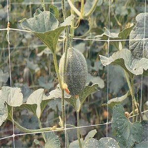 Rau leo lưới lưới bảo vệ thực vật lưới lưới mắt cáo trắng - Product Image 5