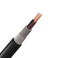 Cable de Alimentación de Bajo Voltaje con Aislamiento XLPE y Armadura de Cinta de Acero ZC-YJV22 de 0.6/1kV, Directo de Fábrica, 6mm² 300mm²3