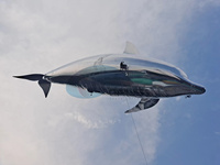 Delfines Inflables en Oferta, Globo con Control Remoto, Delfines Voladores Publicitarios, Espectáculo de Globos Voladores, Delfín Volador Atractivo