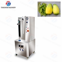 Machine à peler les fruits : mangue, citrouille, pastèque, ananas, taro, papaye, pamplemousse, courge cireuse, et ananas