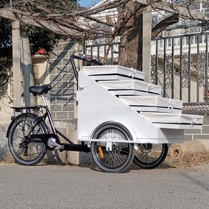 <span class=keywords><strong>Bicicleta</strong></span> eléctrica de carga con cesta, venta al por menor, 3 ruedas - Product Image 3