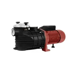 RUIQI – Pompe à eau pour filtre de piscine FCP 750, moteur à haut/grand débit, l/Min