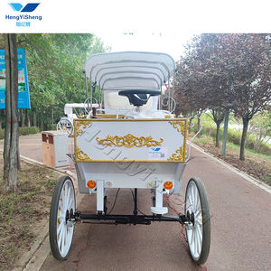 Fabricante Venta de Turismo de Navidad coche de caballos eléctrico personalizable transporte especial para excursiones - Product Image 2