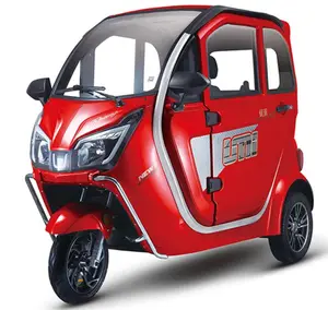 Enclosed Electric Tricycle Small 3 Wheel Cargo Scooter CE Approved E Rickshaw Load Passenger Tricycle with Storage