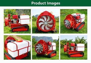 Pulvérisateur à distance Euro V EPA à <span class=keywords><strong>essence</strong></span>, réservoir de 500 L, pulvérisateur agricole de pesticides, livraison rapide - Product Image 6