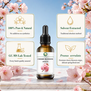 Absolue <span class=keywords><strong>de</strong></span> fleur <span class=keywords><strong>de</strong></span> cerisier (Prunus Serrulata) <span class=keywords><strong>de</strong></span> parfumerie fine pour la formulation <span class=keywords><strong>de</strong></span> parfums professionnels et la création <span class=keywords><strong>de</strong></span> fragrances - Product Image 3