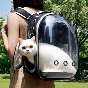 <span class=keywords><strong>Borsa</strong></span> Trasportino Trasparente Pieghevole per Cani e Gatti, Zaino da Viaggio per Esterni di Grande Capacità - Product Image 3