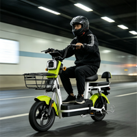 Vélo électrique adulte à double siège avec panier avant, fourni par l'usine, vélo électrique à 2 roues économique pour les trajets quotidiens