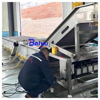 Baiyu 304 RVS Fruit- en Groentebellenwasmachine voor Industriële Toepassingen