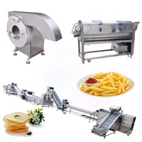 Kleine schaal 100kg/uur productielijn voor frites Automatische productielijn voor frites Machine voor de verwerking van diepvriesfrites