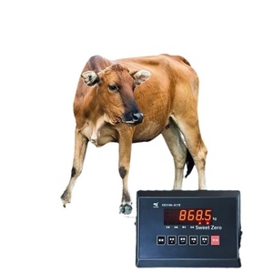 Báscula Electrónica Industrial Pequeña de 0-5 Toneladas para Pesar Cerdos, Ovejas, Ganado, con Valla Reforzada - Product Image 4
