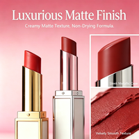 NOUVEAU Rouge à lèvres mat à label privé, imperméable, longue tenue, velours, gloss nude, lisse, non collant, maquillage cosmétique
