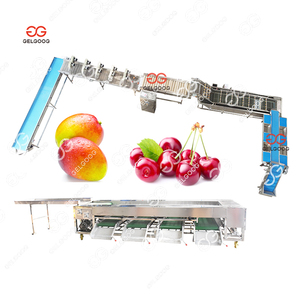 Xoài phân loại và làm sạch và đóng gói máy trái cây và rau anh đào rửa phân loại phân loại đóng gói dòng - Product Image 1