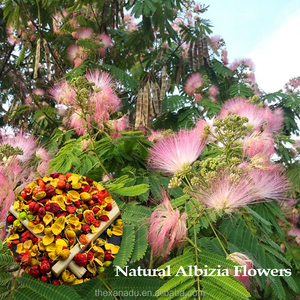 Fleurs d'albizia séchées naturelles Xanadu, boutons de fleurs, herbe traditionnelle chinoise, aide au sommeil, thé sans caféine issu de l'arbre à soie de <span class=keywords><strong>mimosa</strong></span> - Product Image 2