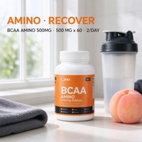 Comprimés d'acides aminés BCAA 500mg OEM ODM Marque privée Vente en gros Haute qualité Énergie pré-entraînement 60 comprimés pour la protéine