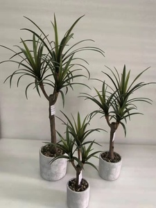 New Design Factory Directly <strong>Sale</strong> Artificial <strong>Yucca</strong> Tree Latex Greenery <strong>Plant</strong> in Cement Pot - Product Image 5