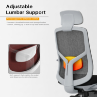 Chaise de bureau pivotante ergonomique haut de gamme à dossier haut, en maille, entièrement réglable, en matériaux écologiques, pour l'école