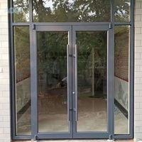 Porte extérieure commerciale en verre coloré laminé, à double charnière, avec cadre en alliage d'aluminium, idéale pour les hôpitaux et les hôtels