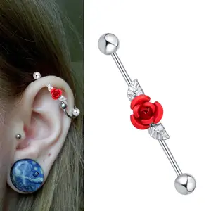 Bon marché Prix 5mm Boules Extrémités Rouge Rose <span class=keywords><strong>Sur</strong></span> Acier Chirurgical 316L Industrial Barbells Boucles D'oreilles 2023 - Product Image 1
