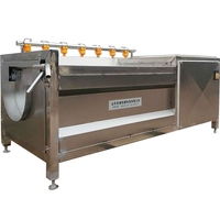 Fabrieksuitverkoop: Automatische aardappelwas- en schilmachine op maat