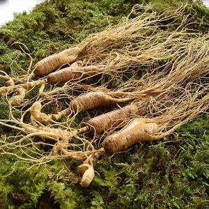 Toptan adam sağlık kırmızı <span class=keywords><strong>Ginseng</strong></span> kökenli kore kırmızı <span class=keywords><strong>Ginseng</strong></span> satılık amerikan <span class=keywords><strong>Ginseng</strong></span> dilimleri - Product Image 1