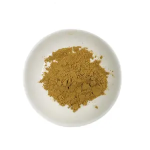 Peach Kernel Extract Powder Semen Persicae Extract 10:1 Peach Kernel Extract