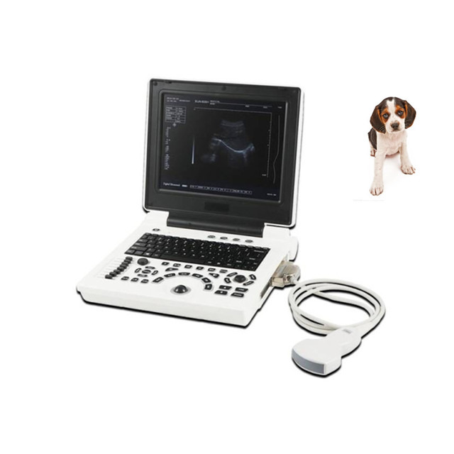 Medical SUN-806H CE Approved Portable Laptop Vet Pet Animal Veterinary Ultrasound Dog