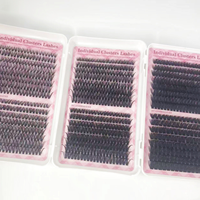 En gros, Clusters de cils individuels pré-coupés faits main DIY effet éventail, 9-16mm, Marque privée, Kit en livre avec pointes LASHES