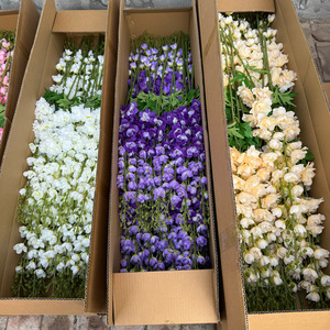 Fleurs artificielles Jinxi en forme de queue d'hirondelle, en soie, pour décoration de mariage, variété d'hirondelles volantes, arrangement au sol, décoration de fête - Product Image 4