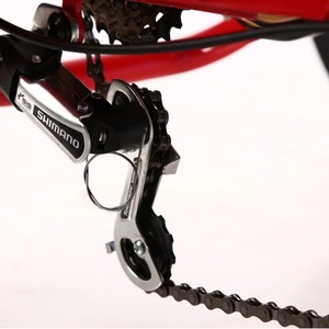 Triciclo Eléctrico Tortia de 20 Pulgadas con Batería de Litio de 48V para Pasajeros con Cesta Delantera y Trasera - Product Image 2