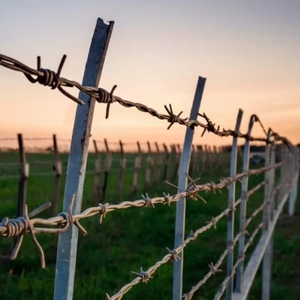 Bulk Korting Prikkeldraad Prijs Meter Prikkeldraad Cubaanse Link Prikkeldraad Hek Voor Boerderij - Product Image 6