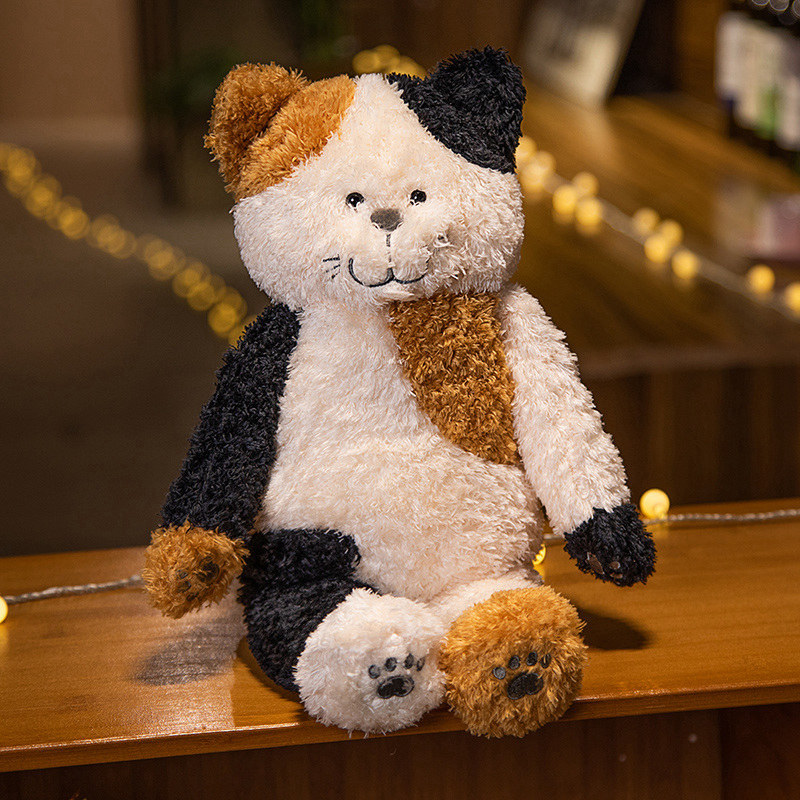 แมวจิมมี่ลายดอกไม้