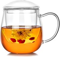 Ensemble tasse et soucoupe en verre écologique de 350 ml (10 oz) avec infuseur amovible pour thé en vrac